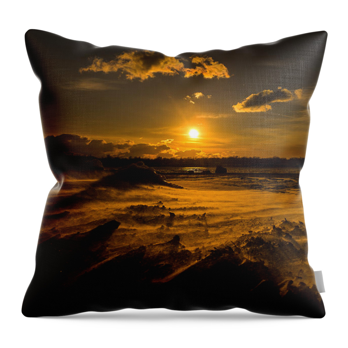 Gratwick Throw Pillow featuring the photograph Cold Solace by Chris Bordeleau