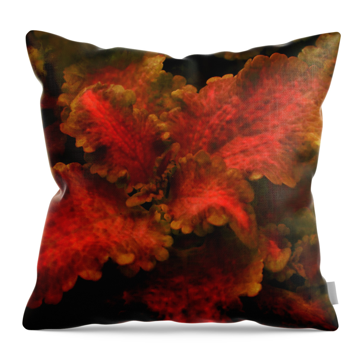 Coleus Throw Pillow featuring the photograph Coleus 3 by Deena Stoddard