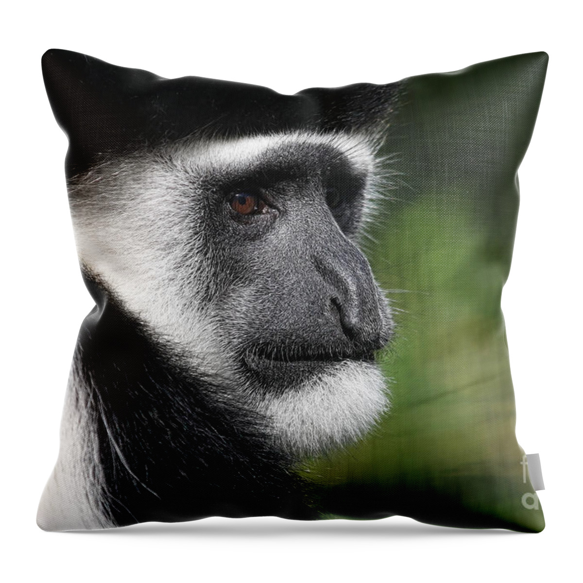 Colobus Throw Pillow featuring the photograph Colobus in Thought by Jayne Carney