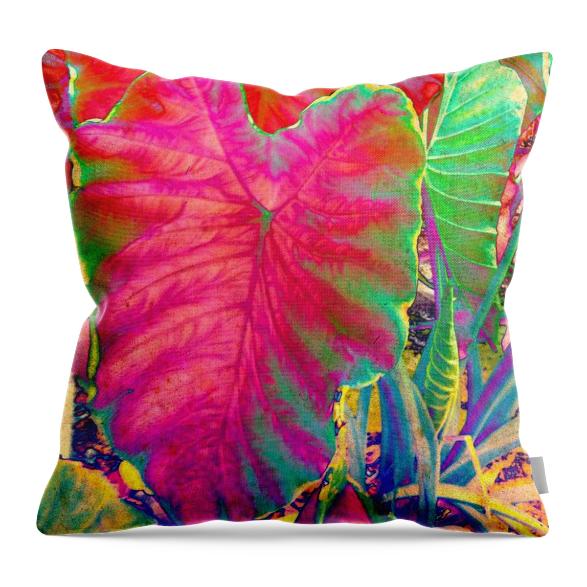 Colocasia Throw Pillow featuring the photograph Colocasia by Denise Tomasura