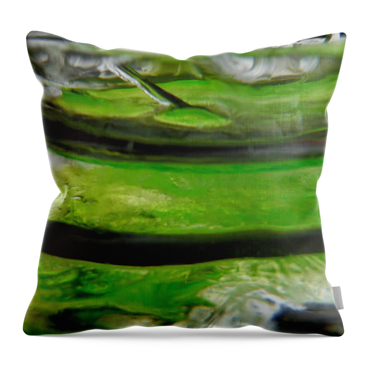 Color In Ice Series Throw Pillow featuring the photograph Color In Ice Series 25 by Paddy Shaffer