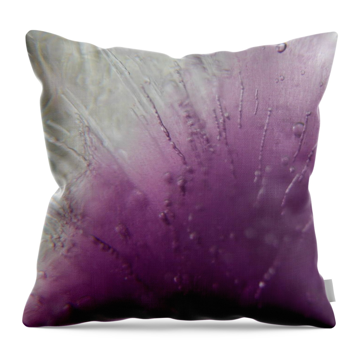 Color In Ice Series Throw Pillow featuring the photograph Color In Ice Series 33 by Paddy Shaffer