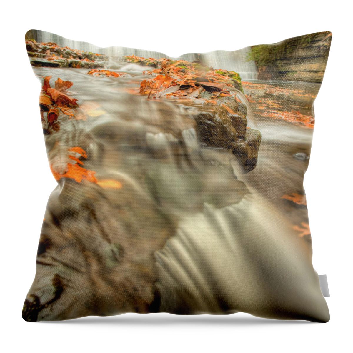 Fall Leaves Throw Pillow featuring the photograph Color of Autumn by John Magyar Photography