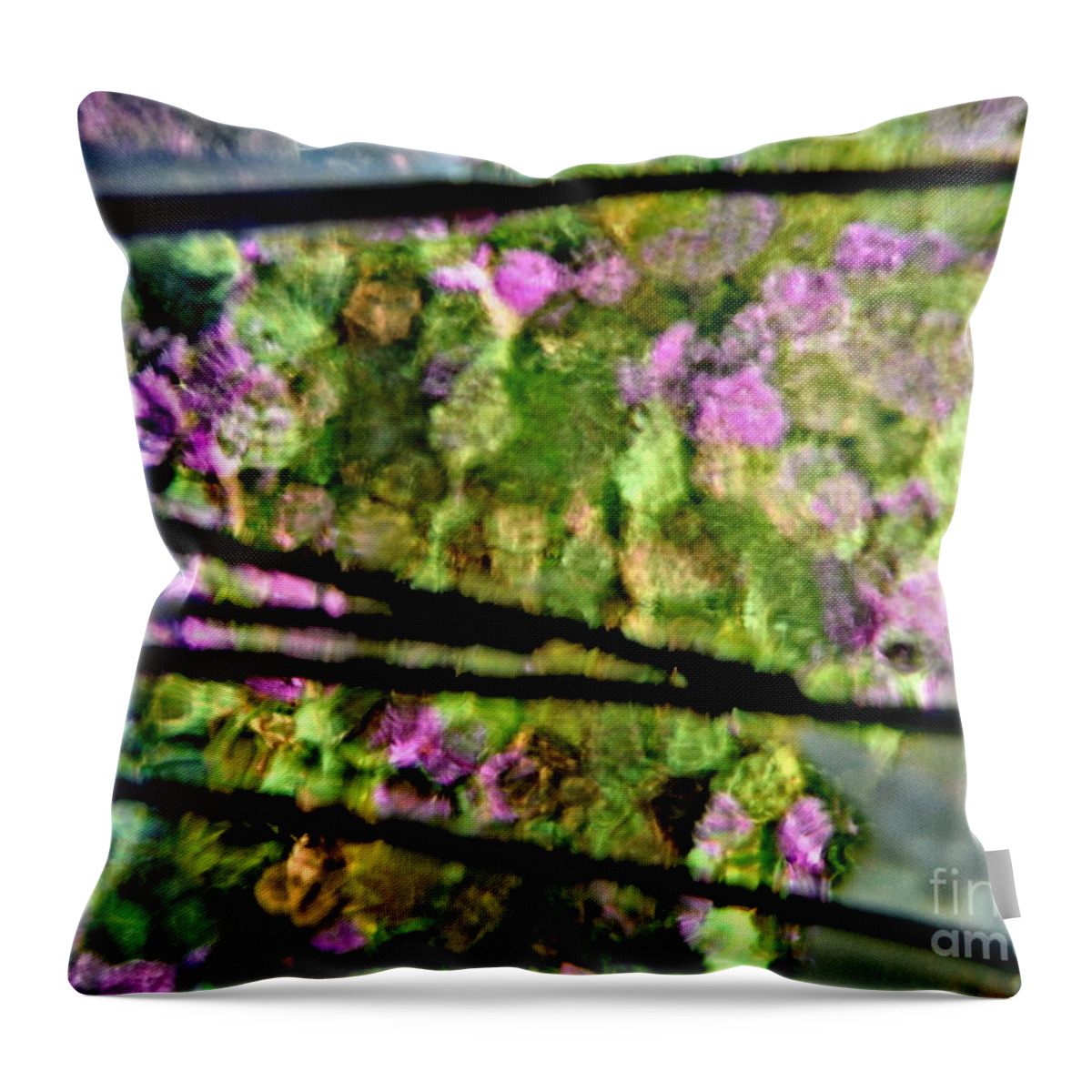Color To Color Series 28 Throw Pillow featuring the photograph Color To Color Series 28 by Paddy Shaffer