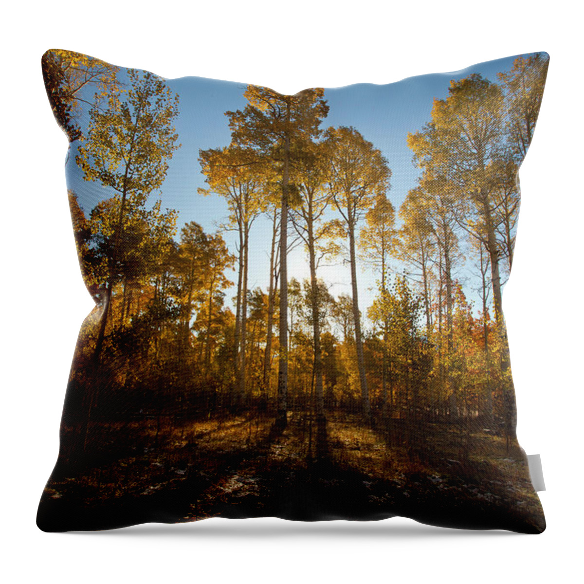 Tranquility Throw Pillow featuring the photograph Colorado Fall Colors by Victoria Chen