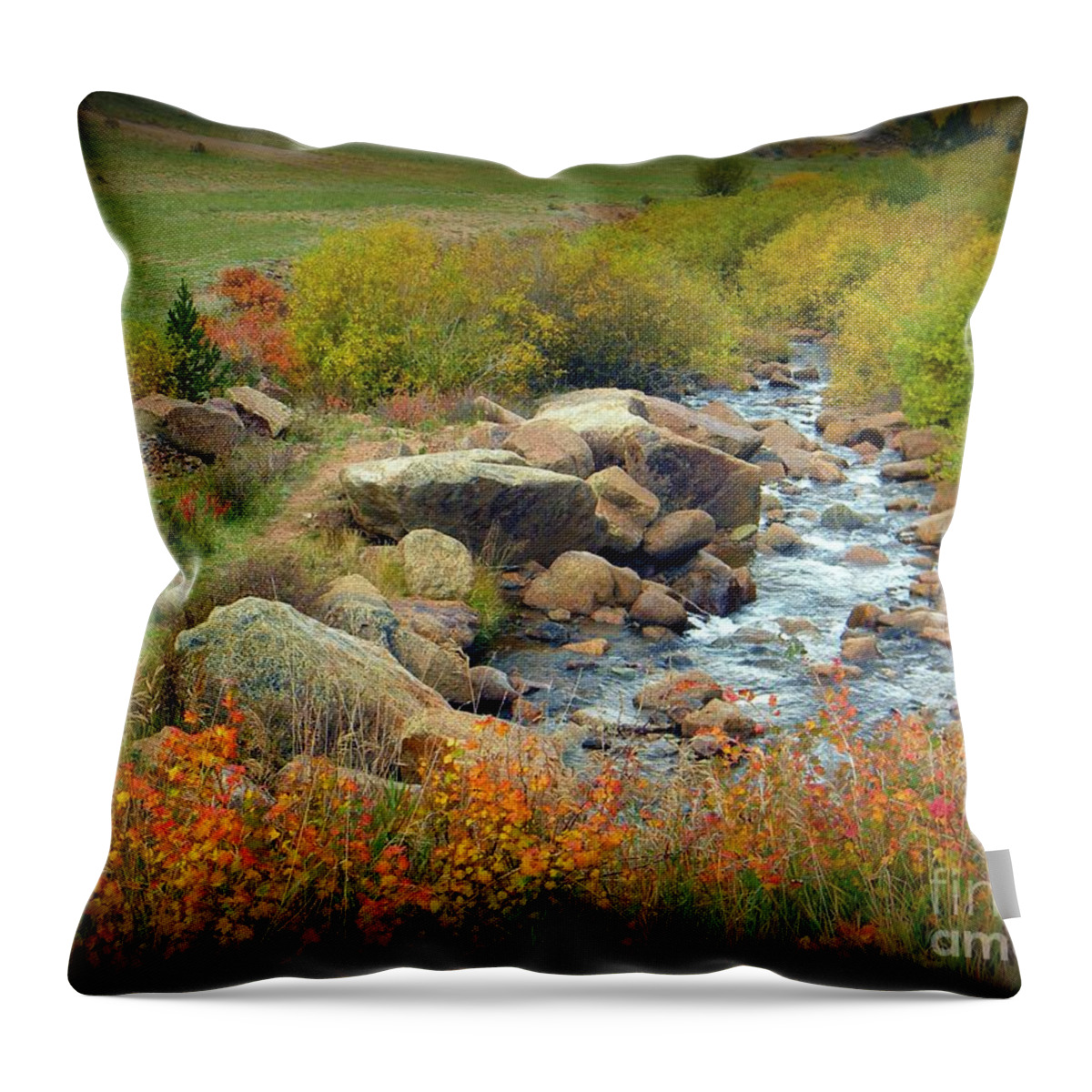 Colorado Throw Pillow featuring the photograph Colorado Fall Stream 2 by Michelle Frizzell-Thompson