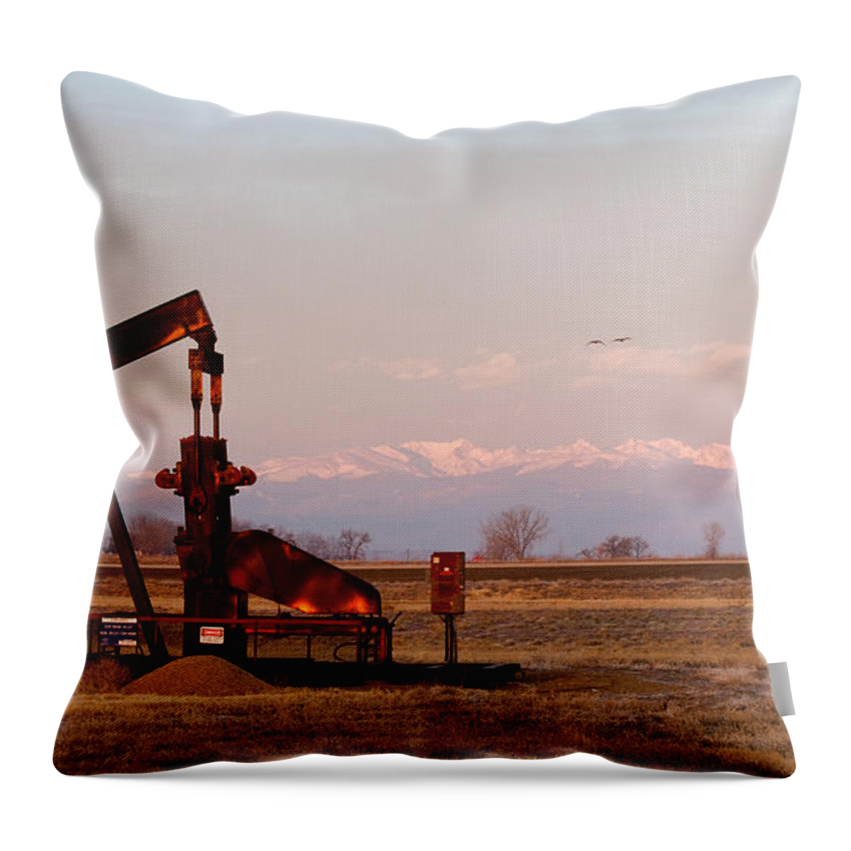 Oil Throw Pillow featuring the photograph Colorado Oil Well Panorama by James BO Insogna