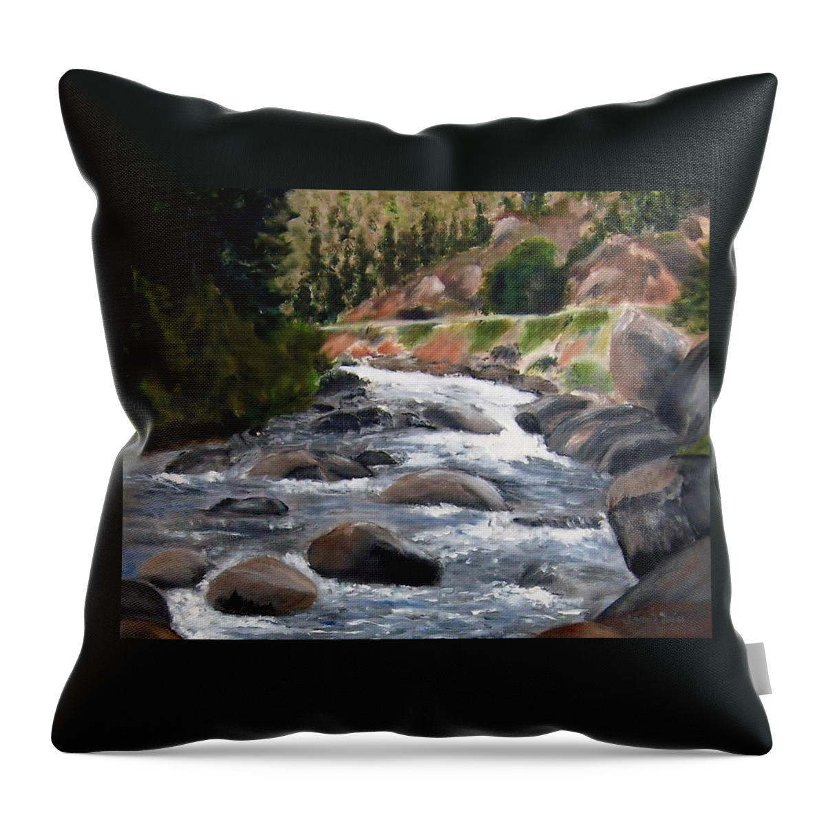 Water Throw Pillow featuring the painting Colorado Rapids by Jamie Frier