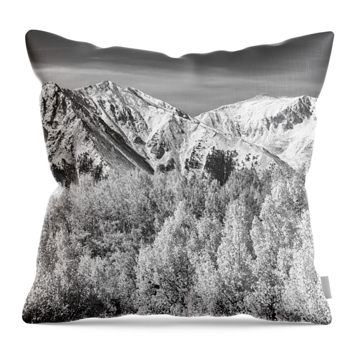 Snow Throw Pillow featuring the photograph Colorado Rocky Mountain Autumn Magic Black and White by James BO Insogna
