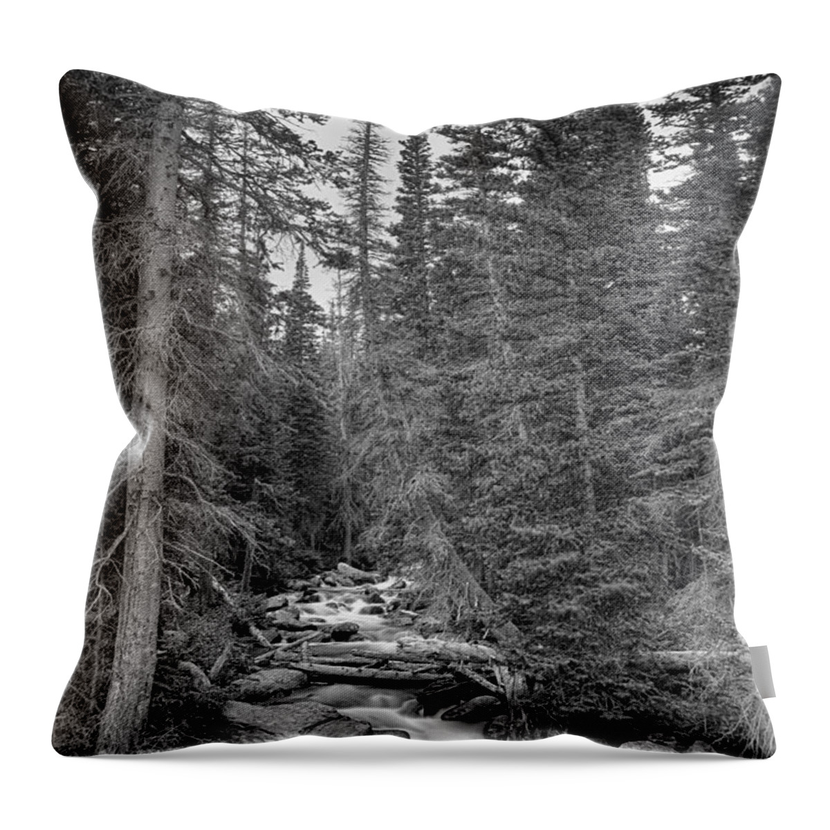 Mountain Stream Throw Pillow featuring the photograph Colorado Rocky Mountain Flowing Stream BW by James BO Insogna