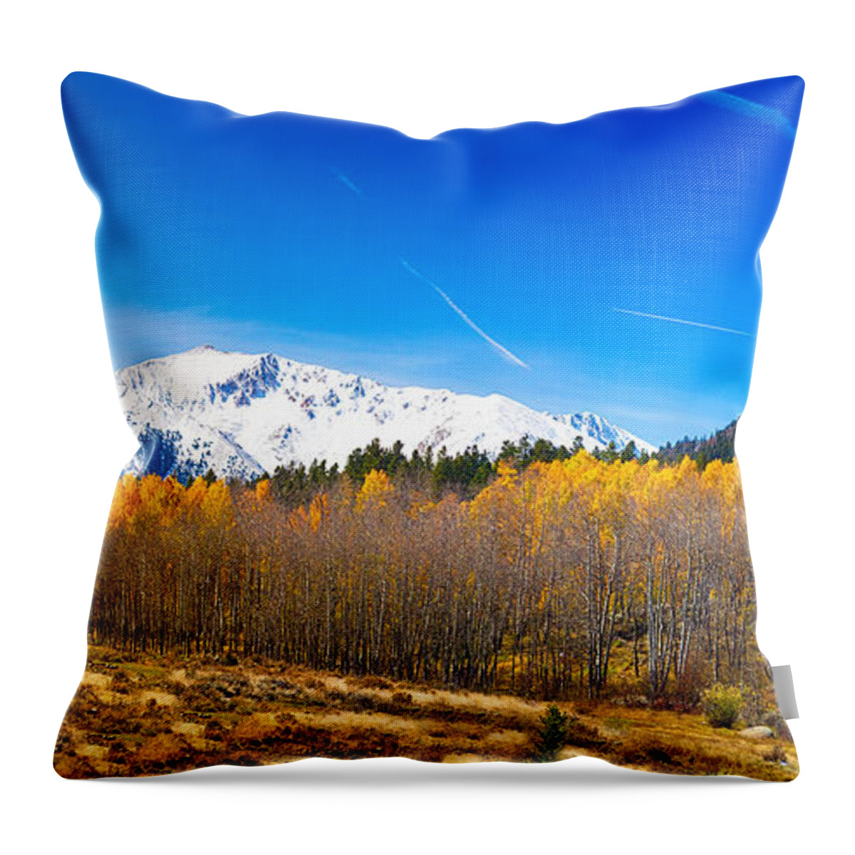 Snow Throw Pillow featuring the photograph Colorado Rocky Mountain Independence Pass Autumn Pano 1 by James BO Insogna
