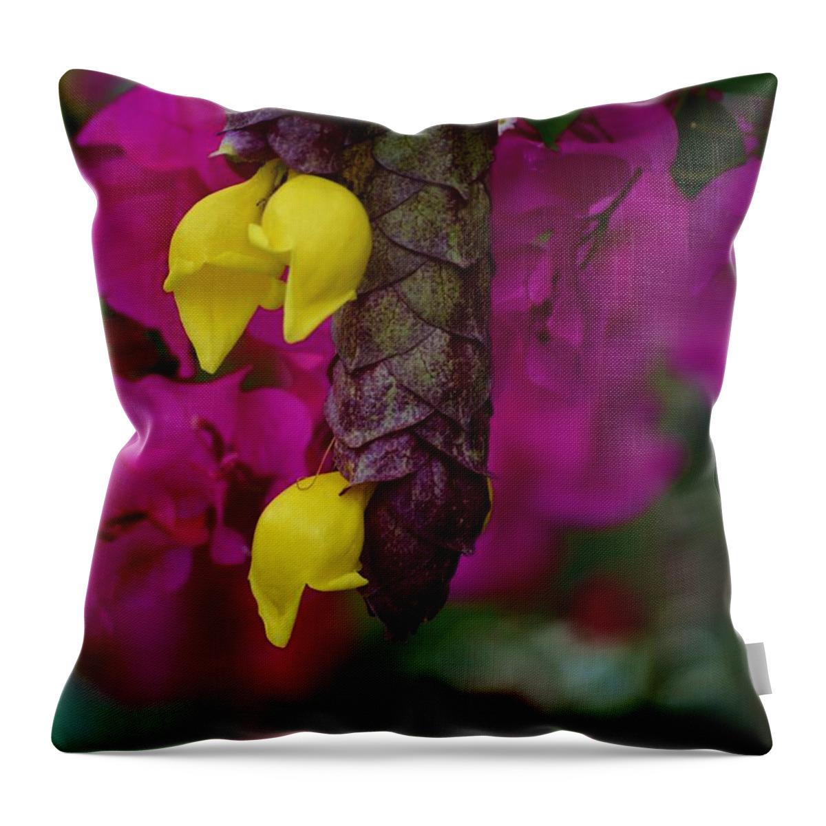 Nature Throw Pillow featuring the photograph Colorful Abundance by Tamara Michael