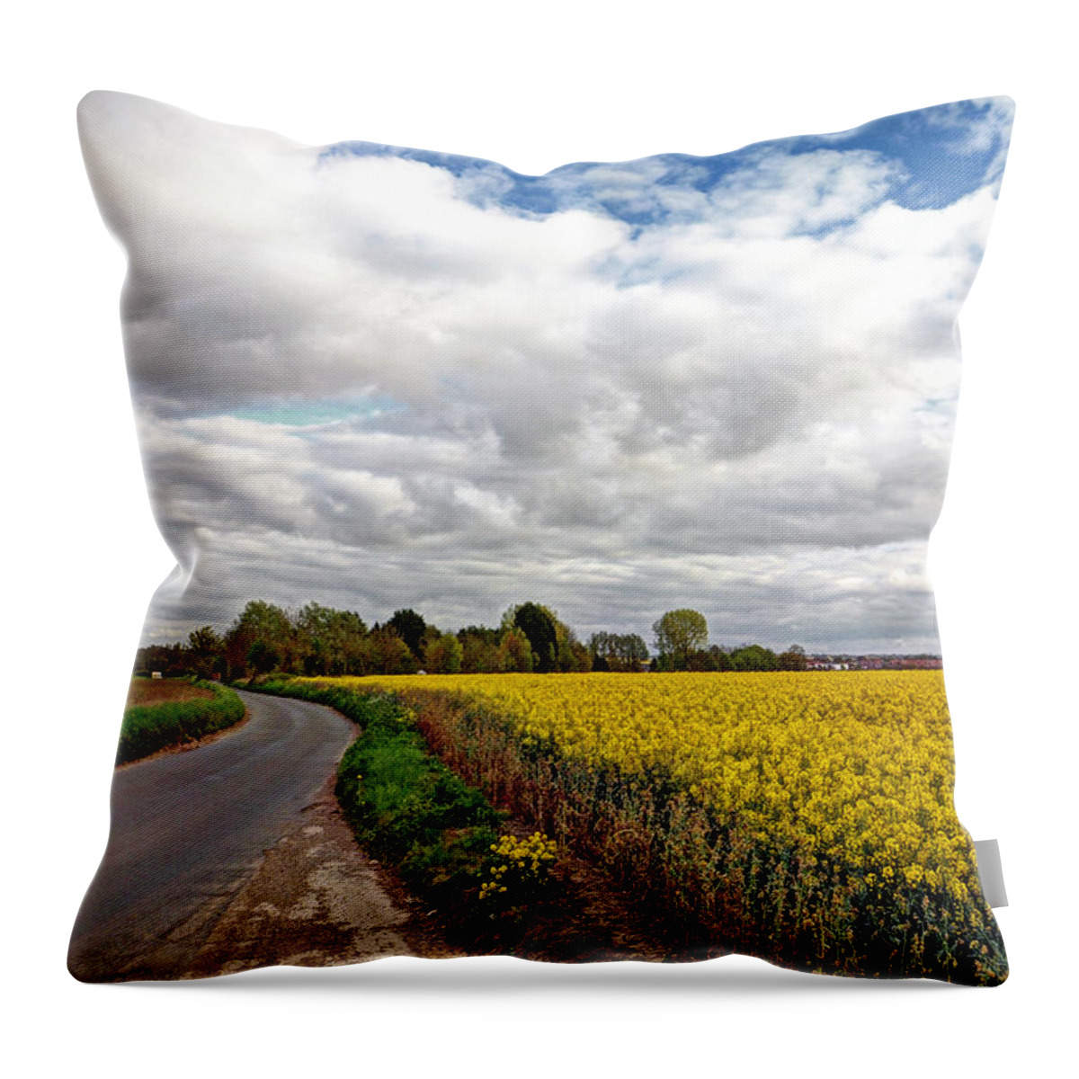 Farm Landscape Throw Pillow featuring the photograph Colorful Backroads - Rapeseed Fields by Gill Billington