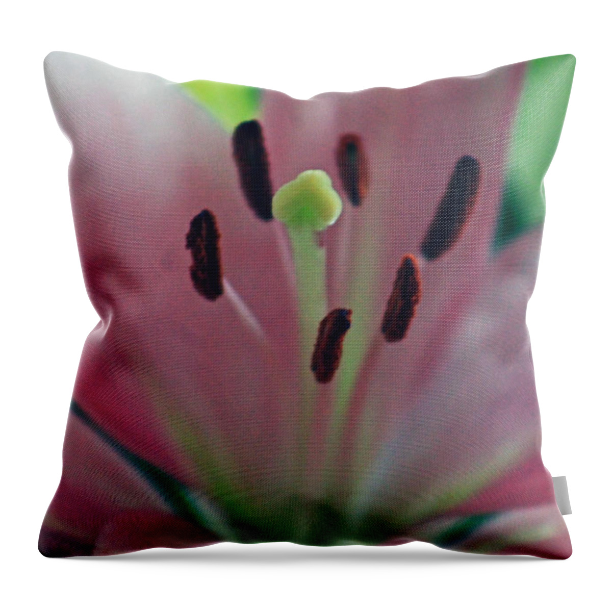 Lily Throw Pillow featuring the photograph Colorful detailed by Lily K