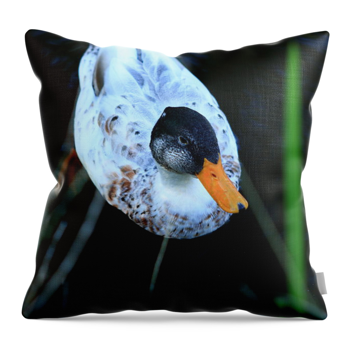 Duck Throw Pillow featuring the photograph Colorful Duck On The Canal by Aidan Moran