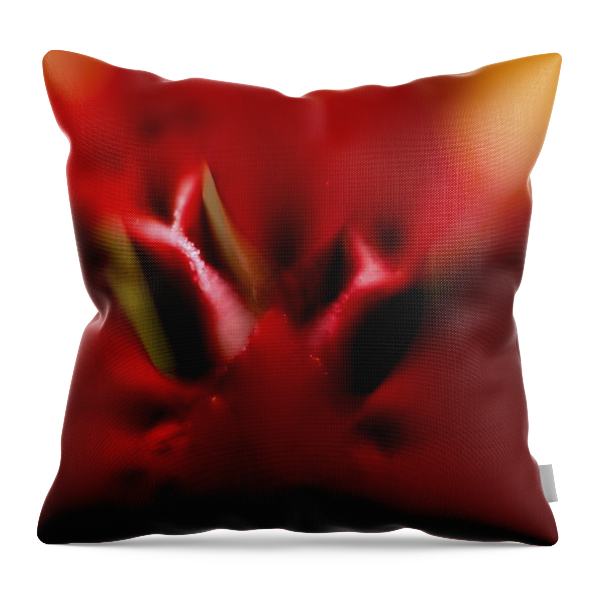  Throw Pillow featuring the photograph Colorful Floral by Max Greene