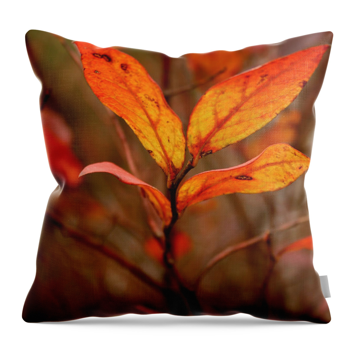 Autumn Throw Pillow featuring the photograph Colorful Leaves by Karen Harrison Brown