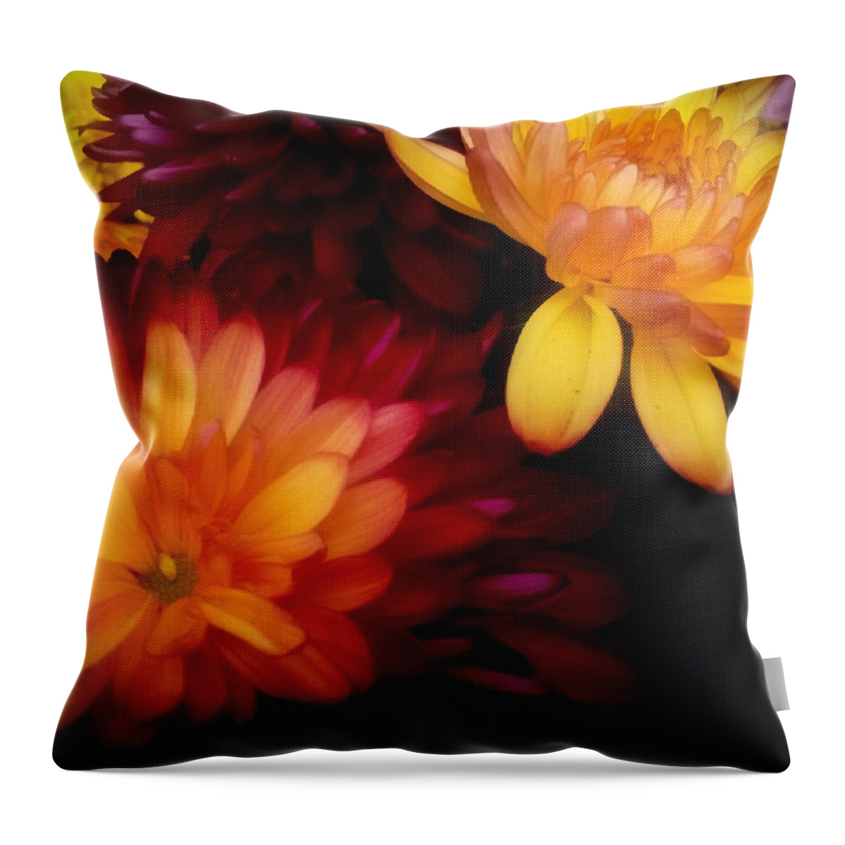 Fall Throw Pillow featuring the photograph Colorful Mums by Michelle Frizzell-Thompson