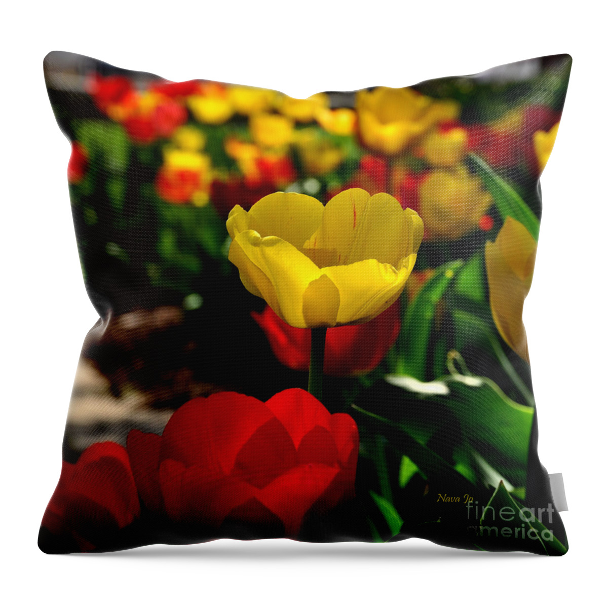 Floral Throw Pillow featuring the photograph Colorful Spring Tulips by Nava Thompson