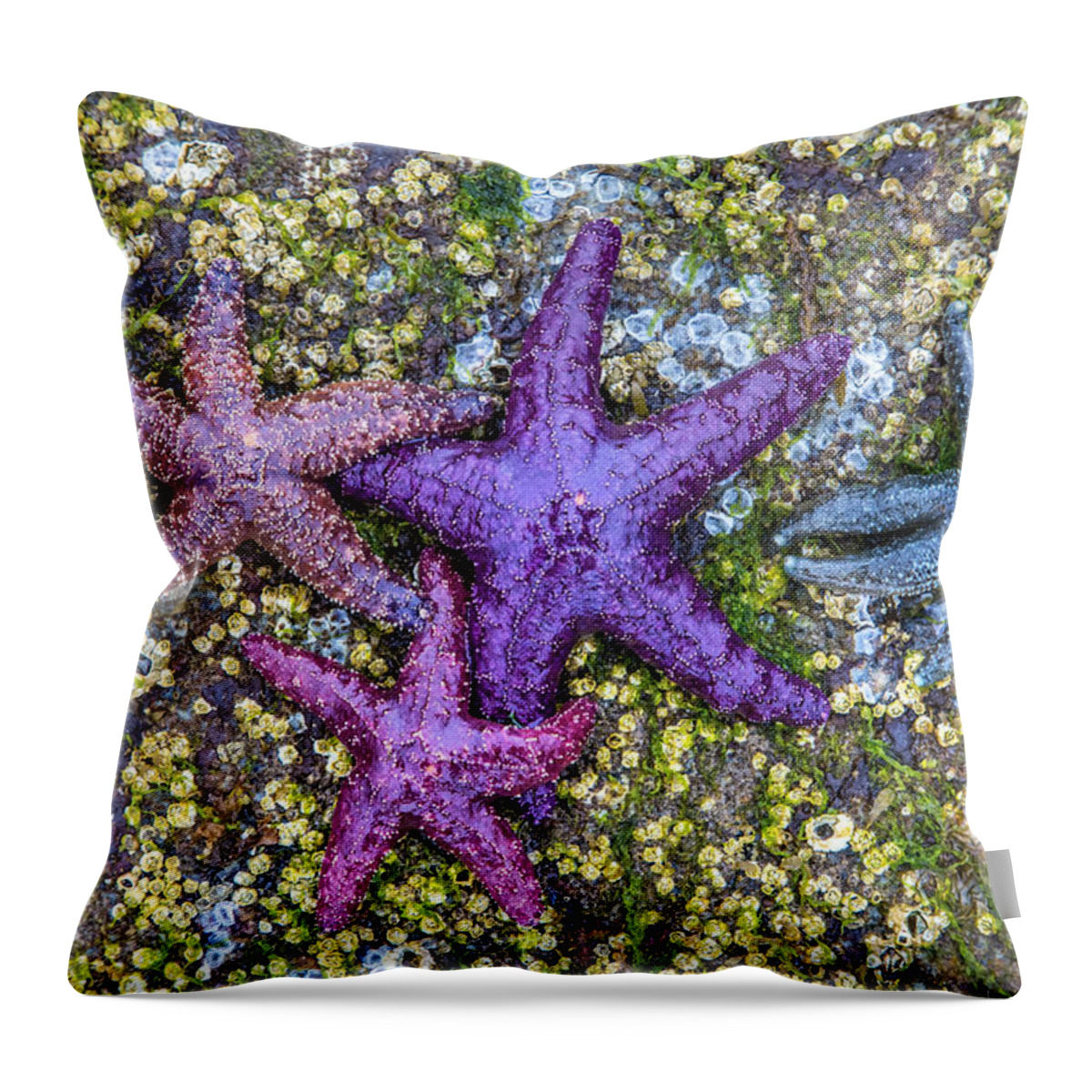 Starfish Throw Pillow featuring the photograph Colorful Starfish BC by Pierre Leclerc Photography