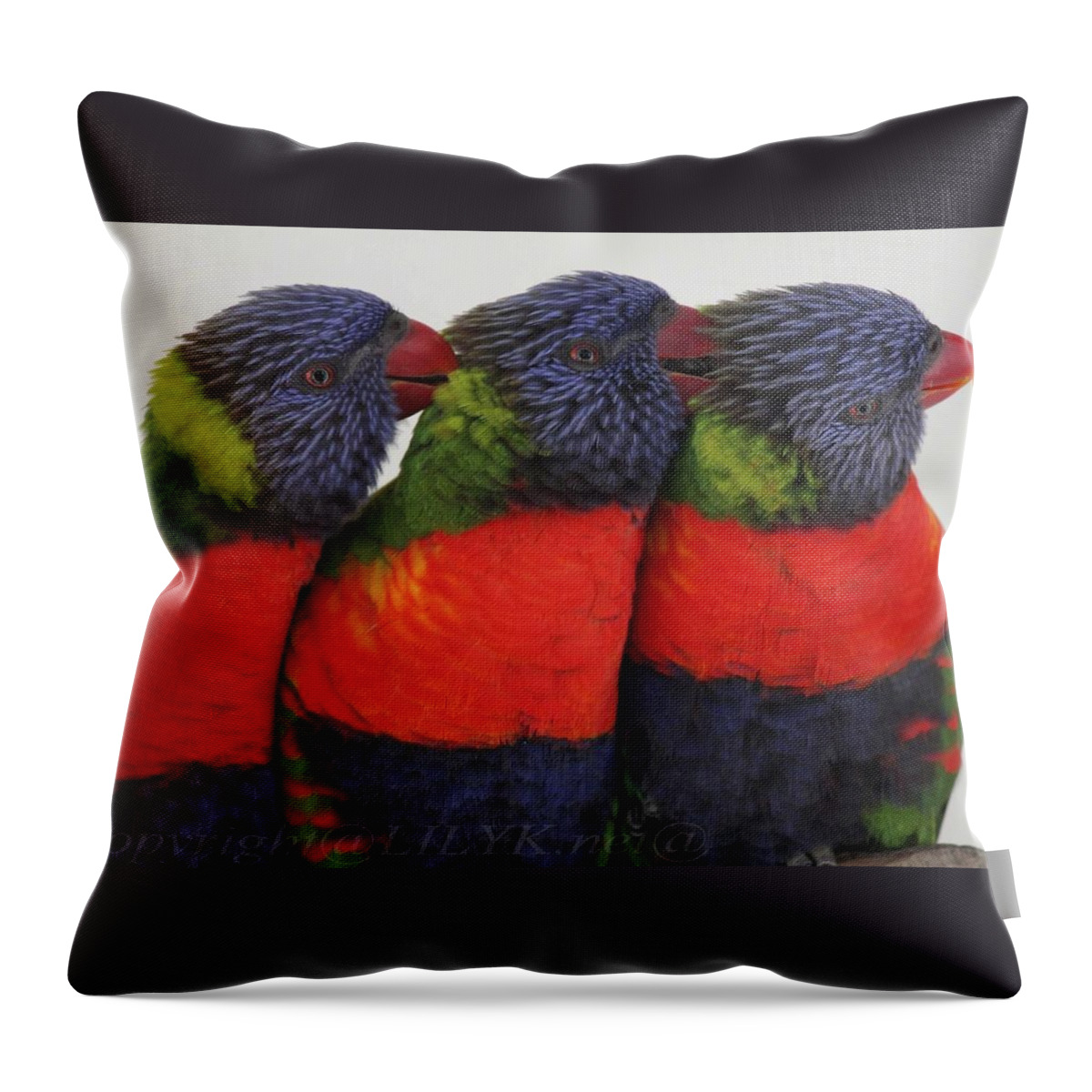 Parrots Throw Pillow featuring the photograph Colorful therapy by Lily K