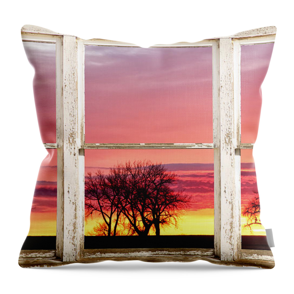 Windows Throw Pillow featuring the photograph Colorful Tree Lined Horizon White Barn Picture Window Frame by James BO Insogna