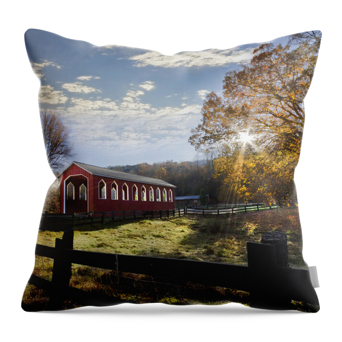 Andrews Throw Pillow featuring the photograph Colors Of Autumn by Debra and Dave Vanderlaan