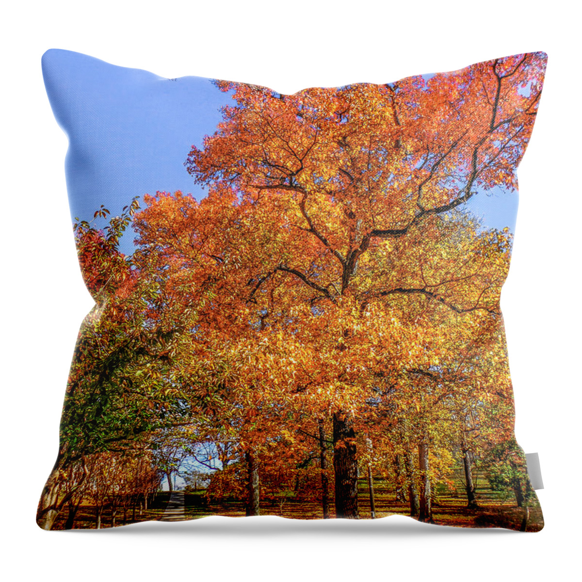 Autumn Leaves Throw Pillow featuring the photograph Colors of Fall by Charlie Cliques