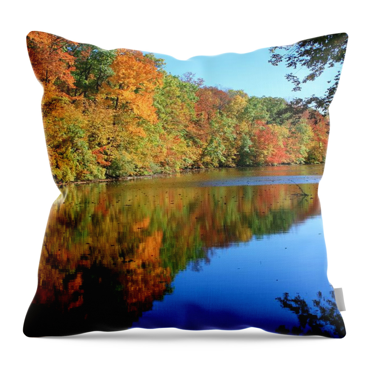 Fall Throw Pillow featuring the photograph Colors of Fall by Susan McMenamin