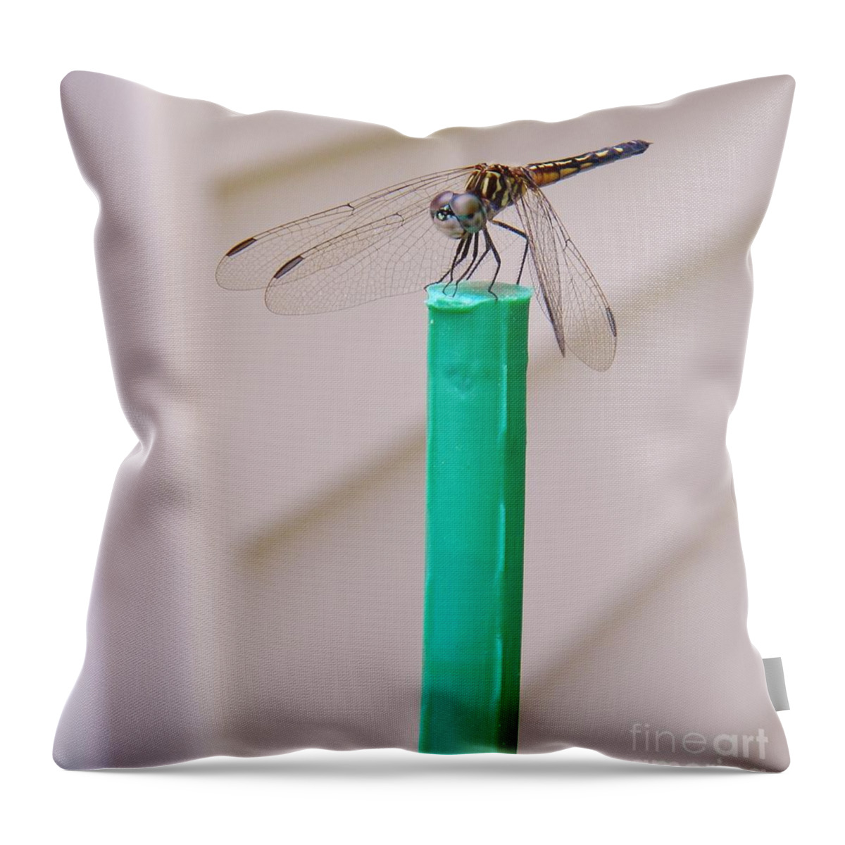 Drafonfly Throw Pillow featuring the photograph Colors Of Summer by Matthew Seufer