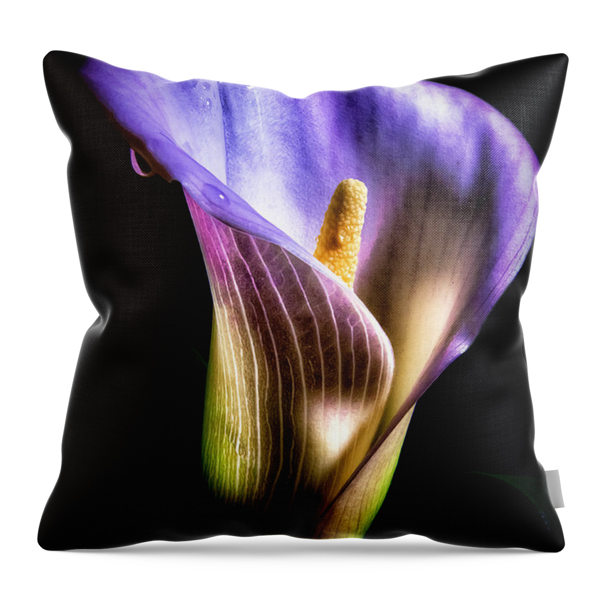 Flower Throw Pillow featuring the photograph Colors by Don Hoekwater Photography