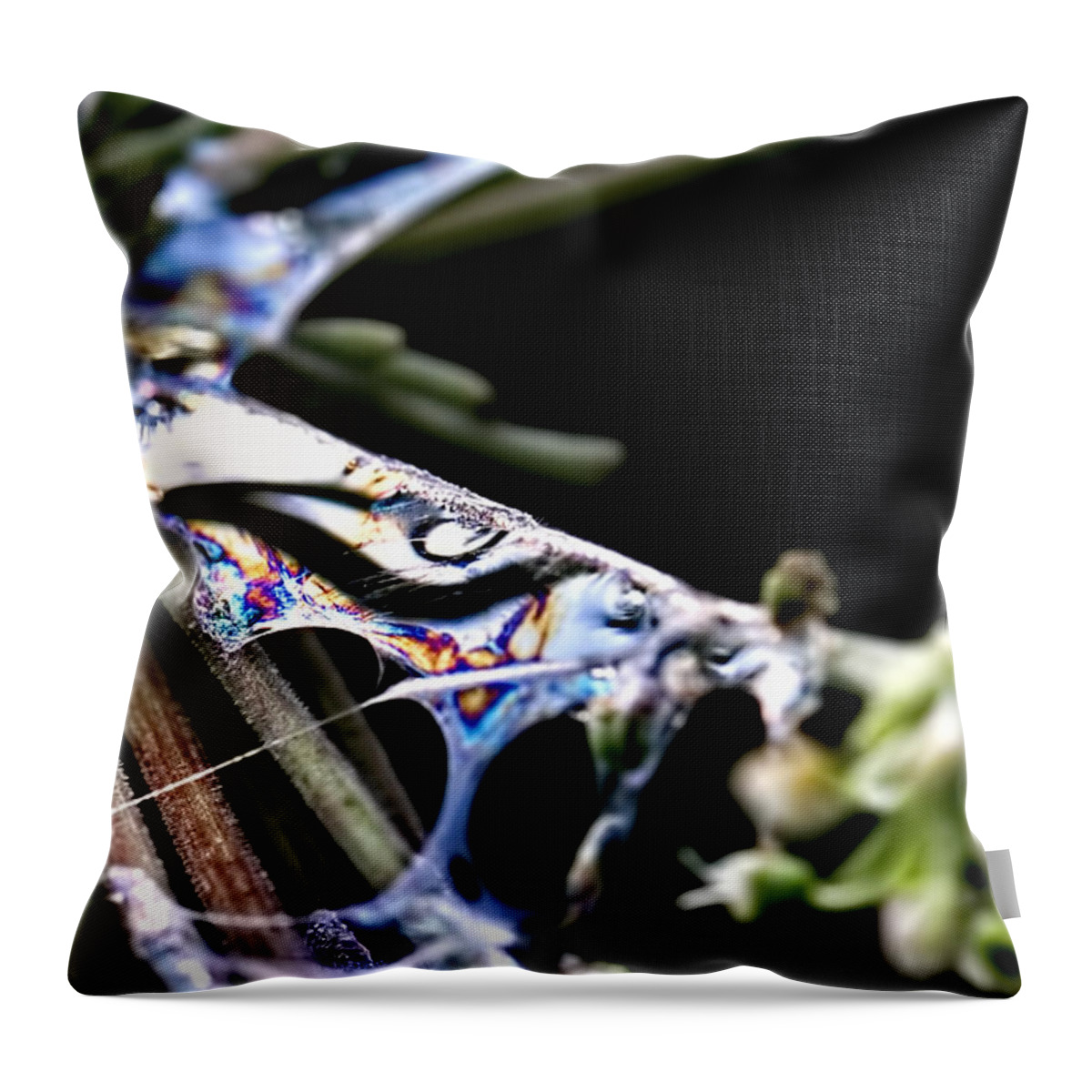 Colours Throw Pillow featuring the photograph Colours by Leif Sohlman