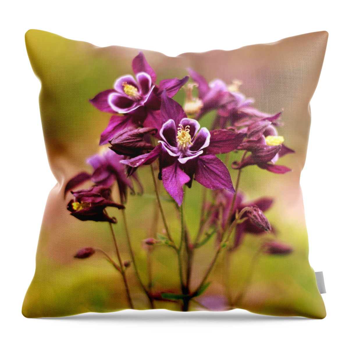 Columbine Throw Pillow featuring the photograph Columbine by Jessica Jenney