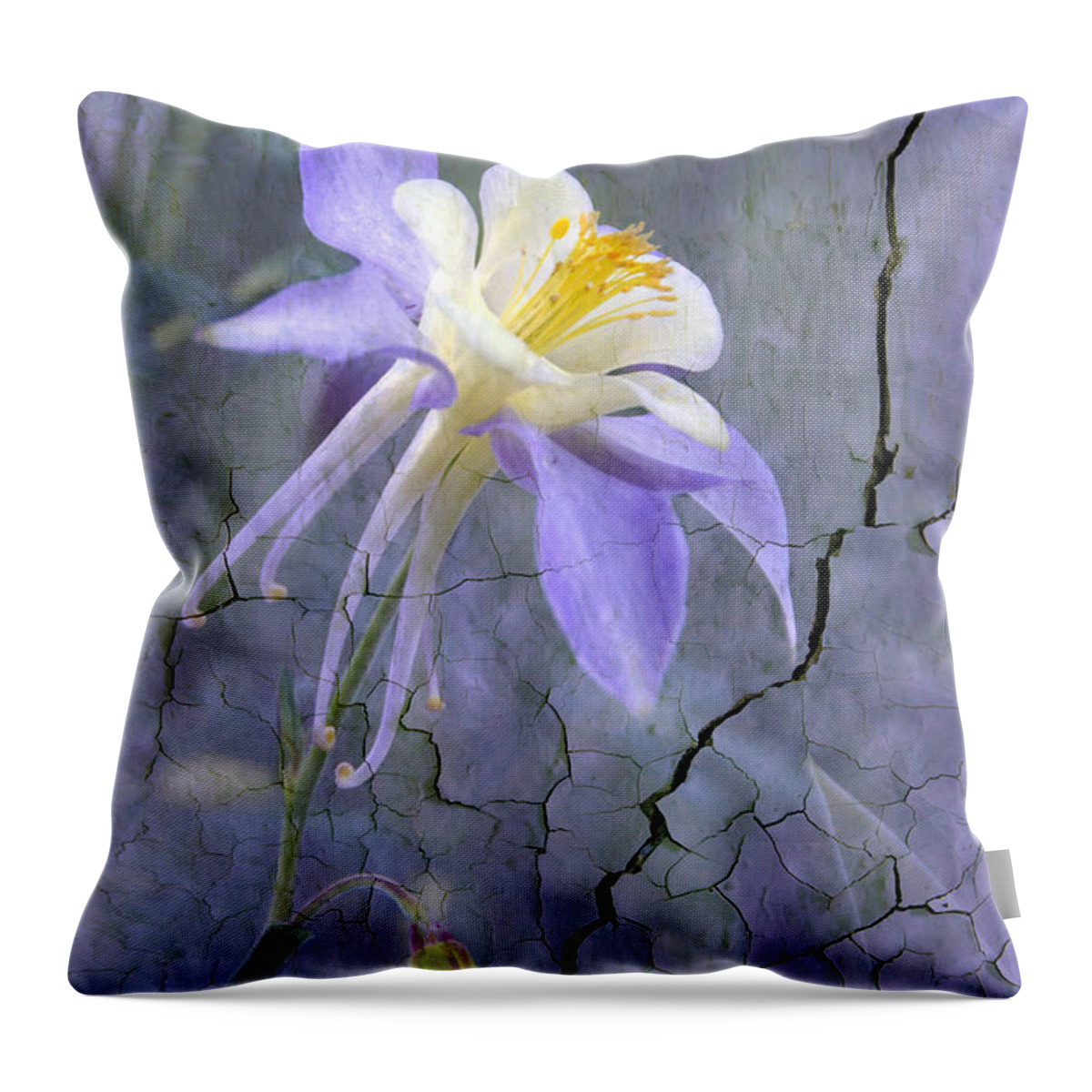 Wall Photography. Throw Pillow featuring the photograph Columbine on Cracked wall by James Steele