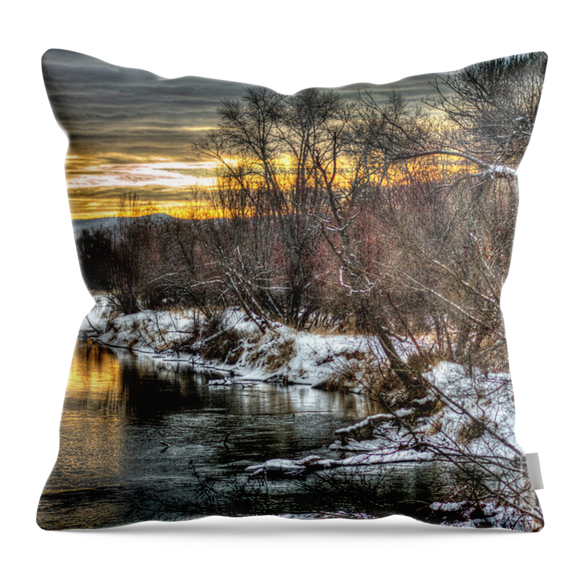 Colville Throw Pillow featuring the photograph Colville River 2 by Loni Collins