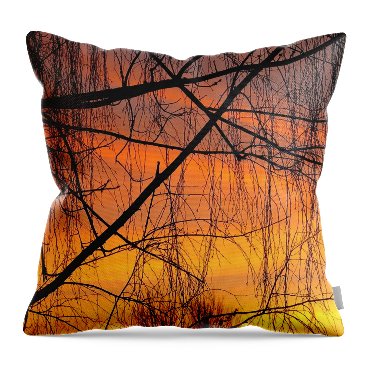 Trees Throw Pillow featuring the photograph Comatose by Chris Dunn