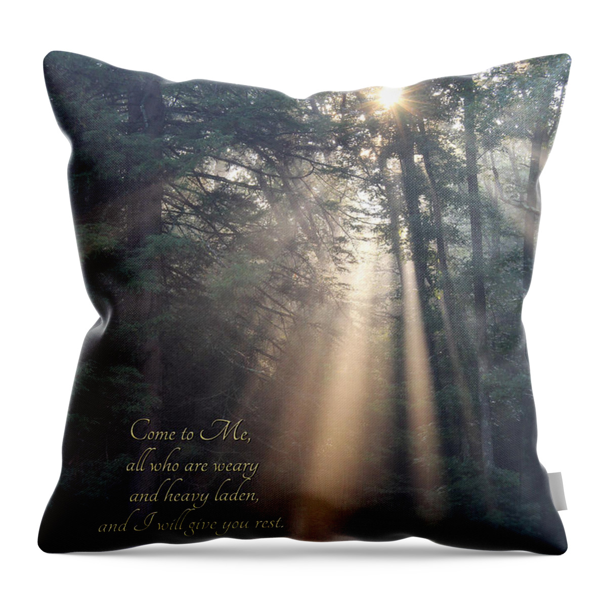 Inspirational Throw Pillow featuring the photograph Come to Me by Lori Deiter