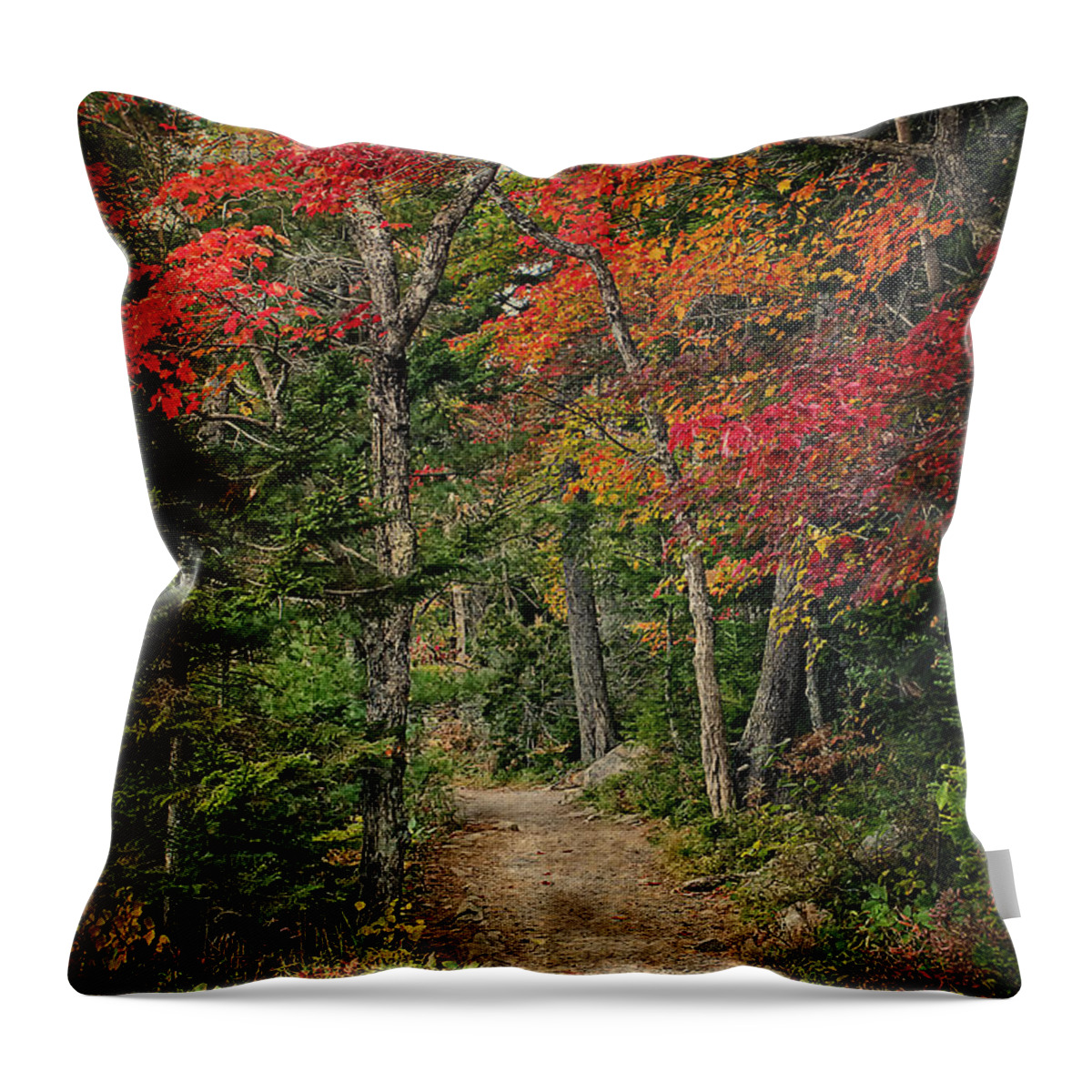 Autumn Throw Pillow featuring the photograph Come Walk with Me by Priscilla Burgers