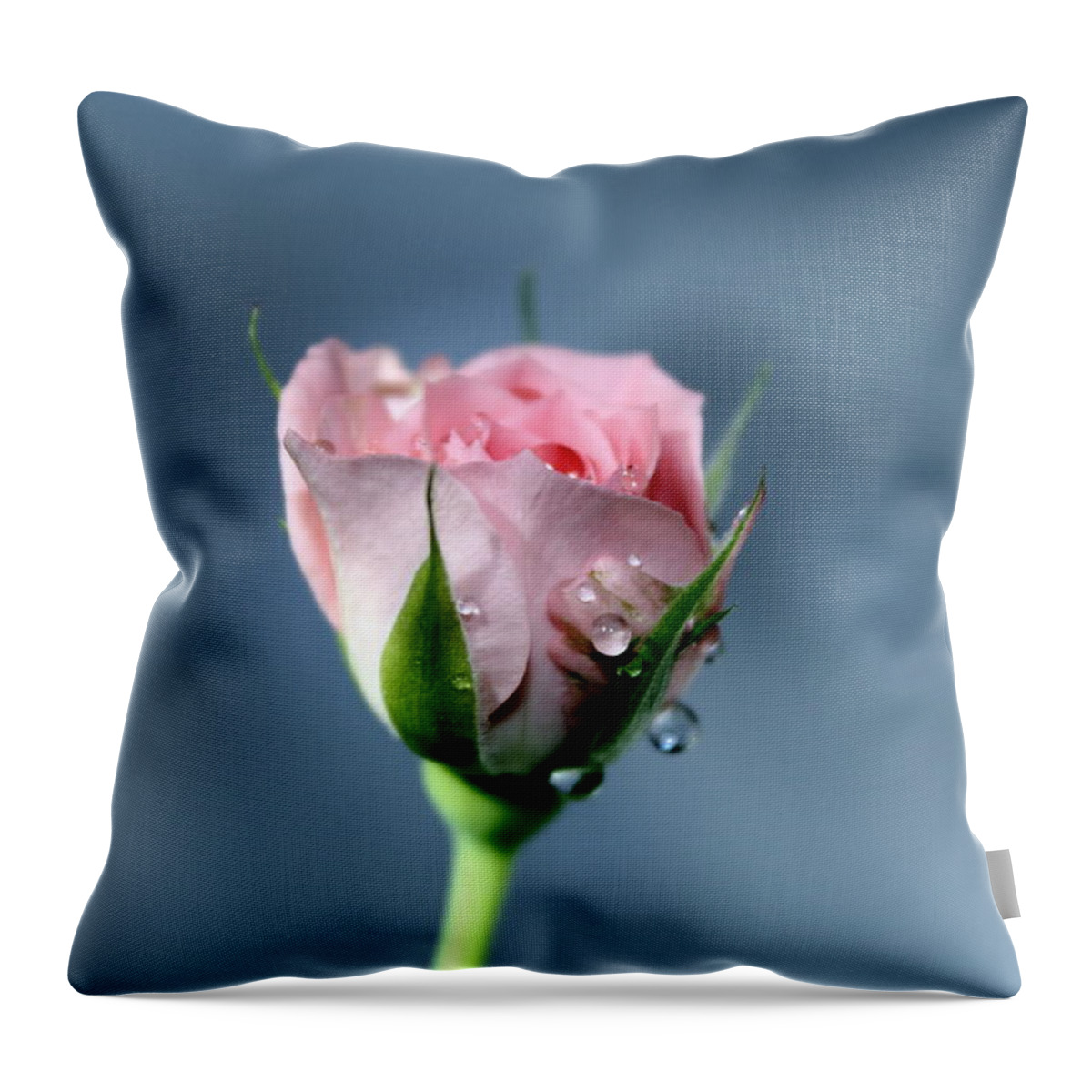 Rose Throw Pillow featuring the photograph Coming to Life by Krissy Katsimbras