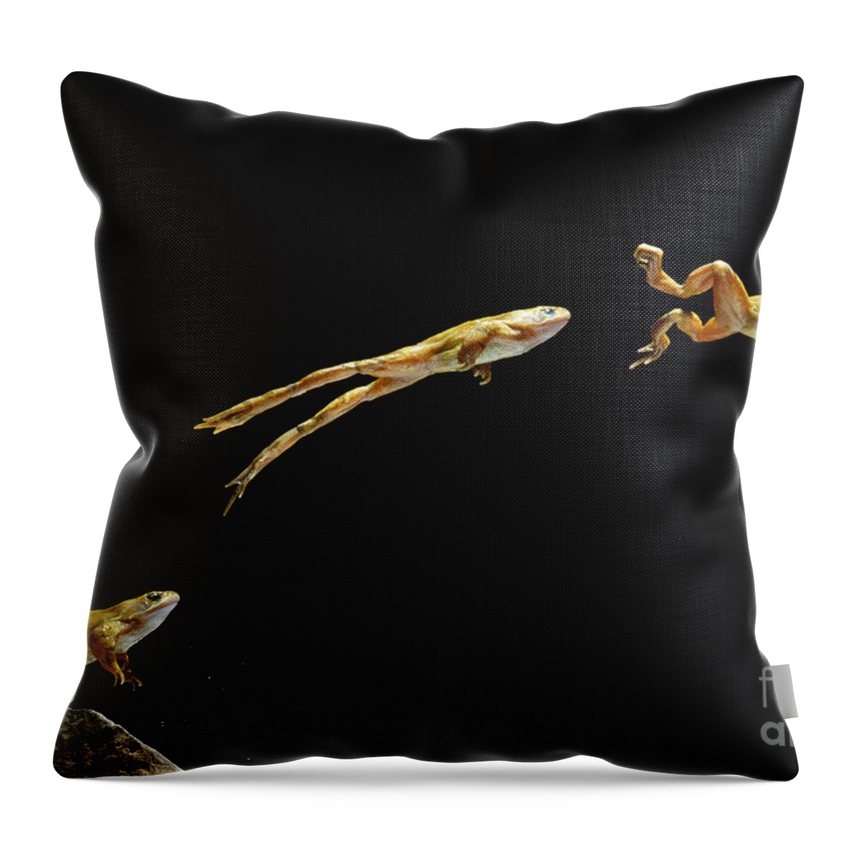 Animal Throw Pillow featuring the photograph Common Frog Leaping by Stephen Dalton