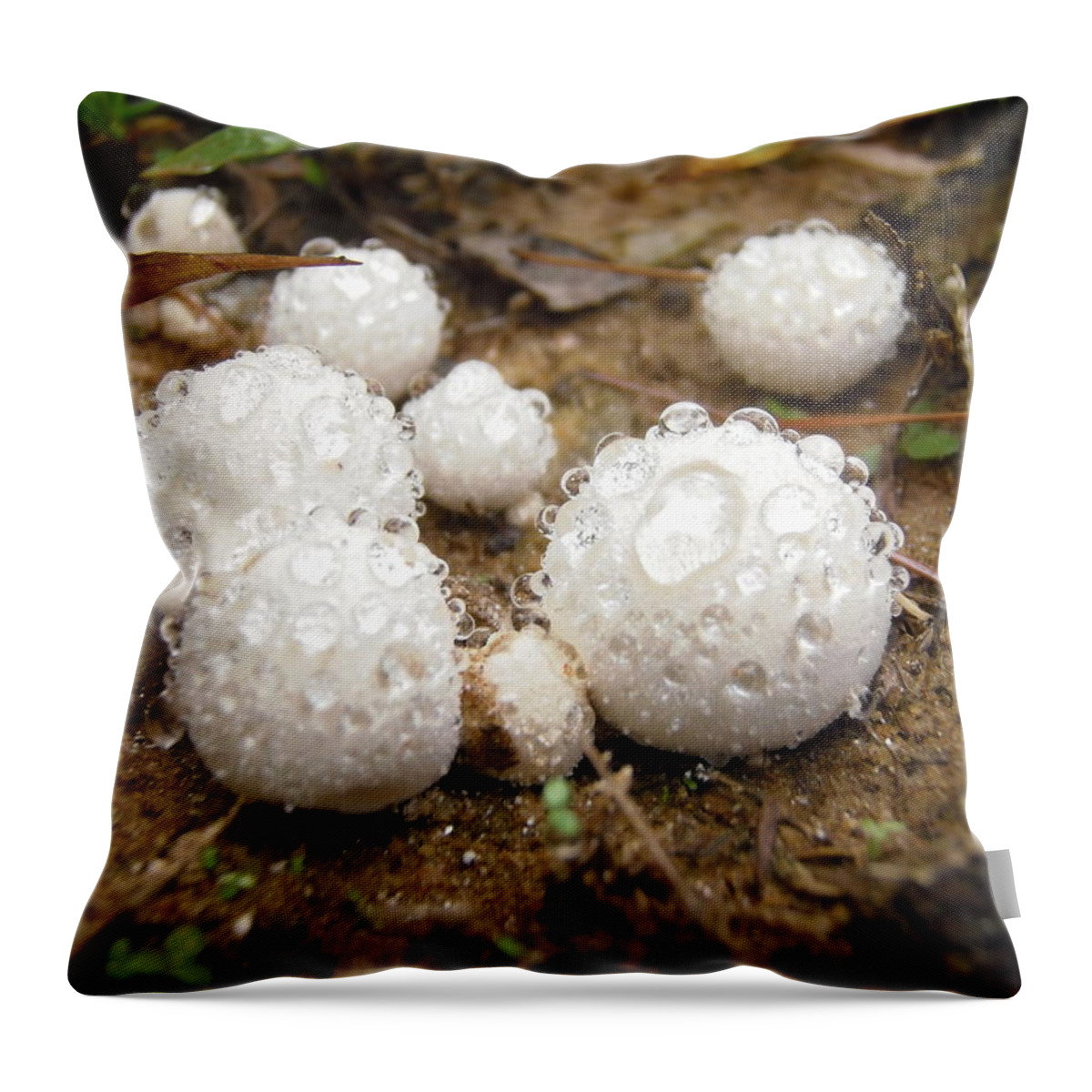 Fungi Throw Pillow featuring the photograph Common Puffball Dewdrop Harvest by Nicole Angell