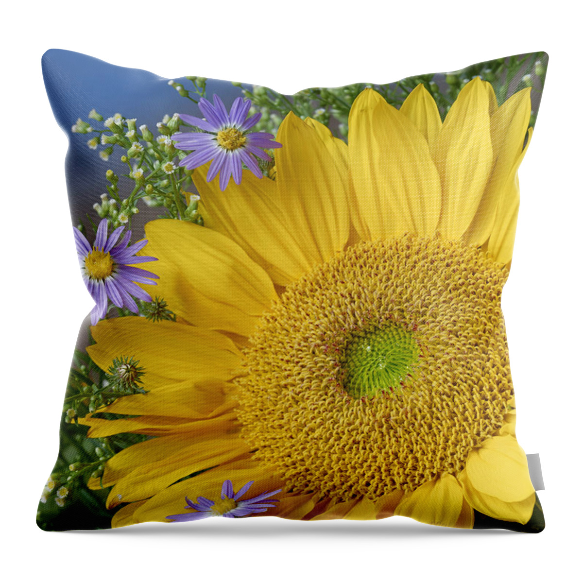 Feb0514 Throw Pillow featuring the photograph Common Sunflower And Asters by Tim Fitzharris