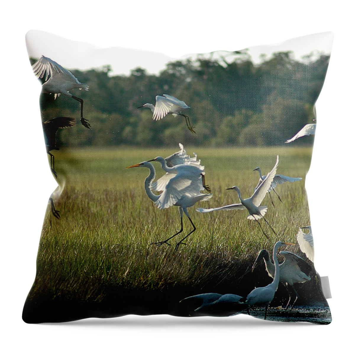 Jekyll Island Throw Pillow featuring the photograph Community Uplift by Bruce Gourley
