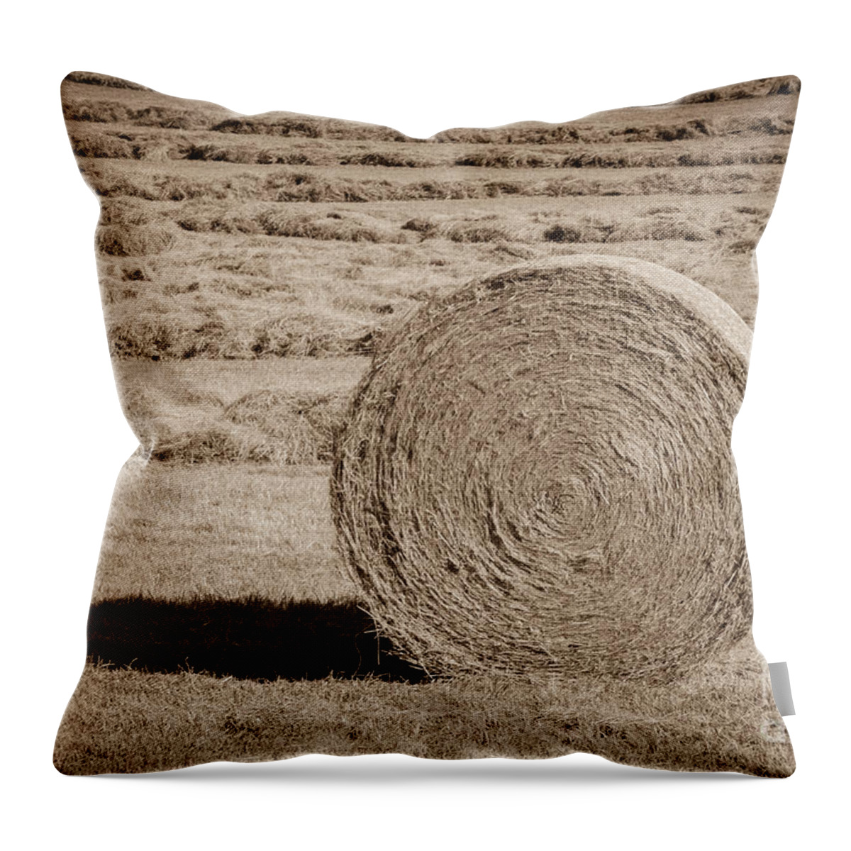 Hay Bales Throw Pillow featuring the photograph Concentric by Tamara Becker