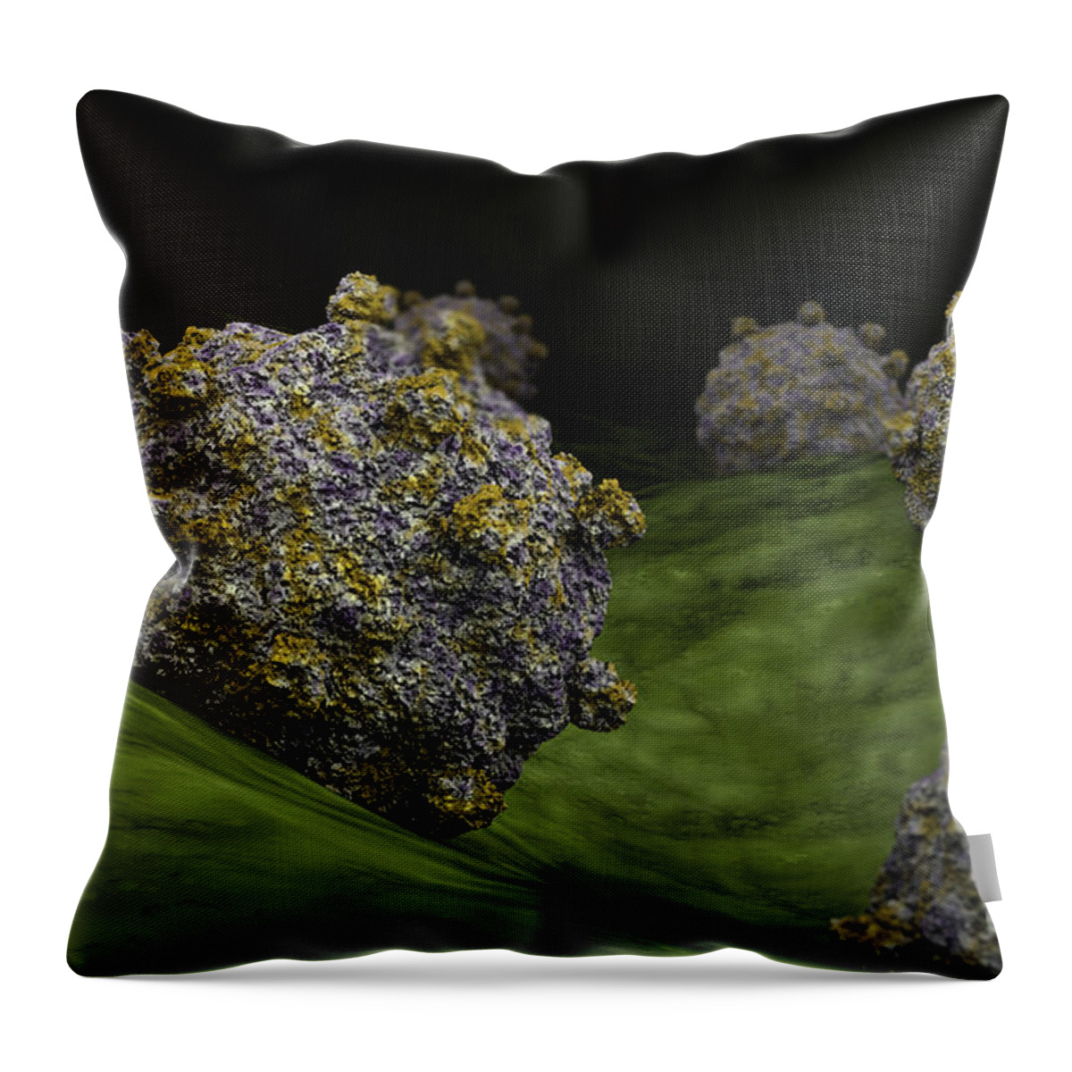 Horizontal Throw Pillow featuring the digital art Conceptual Image Of Coxsackievirus by Stocktrek Images