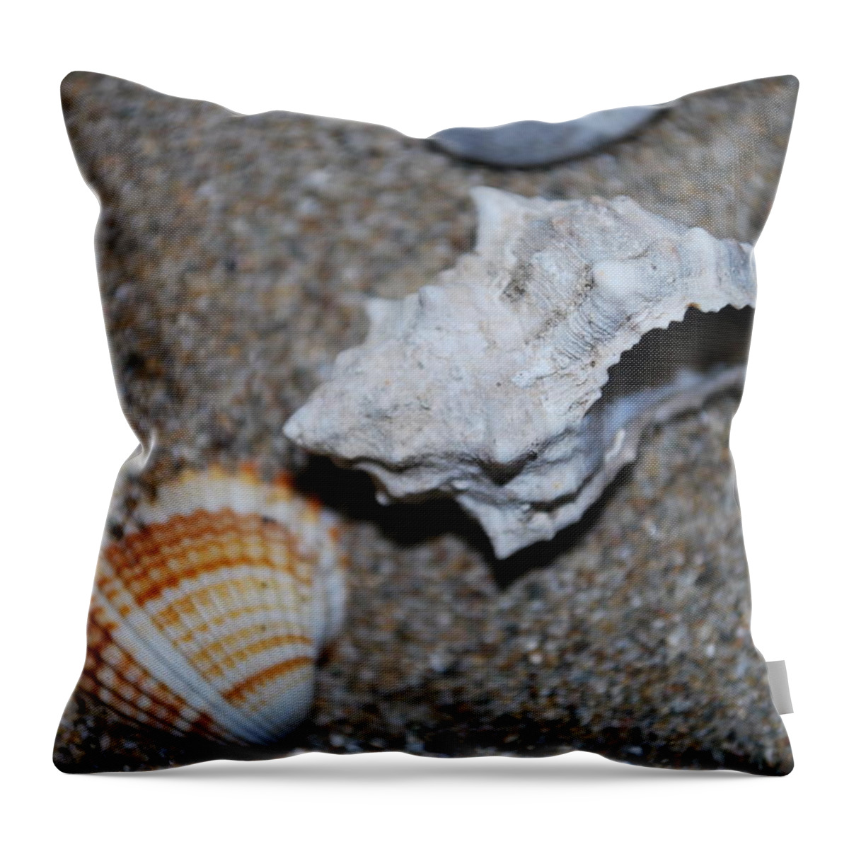Conch Throw Pillow featuring the photograph Conch 2 by George Katechis