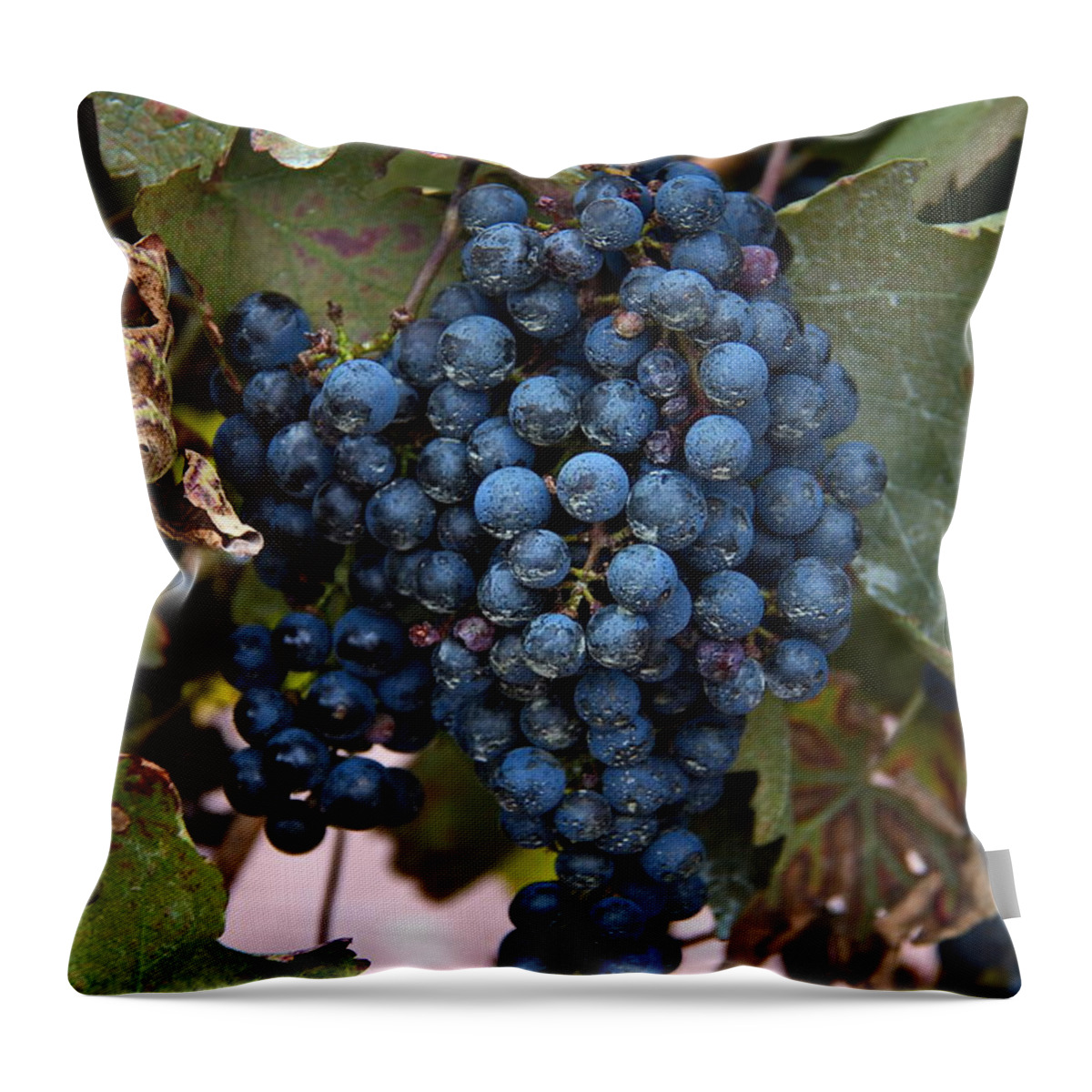 Grapes Throw Pillow featuring the digital art Concord Grapes by Leeon Photo