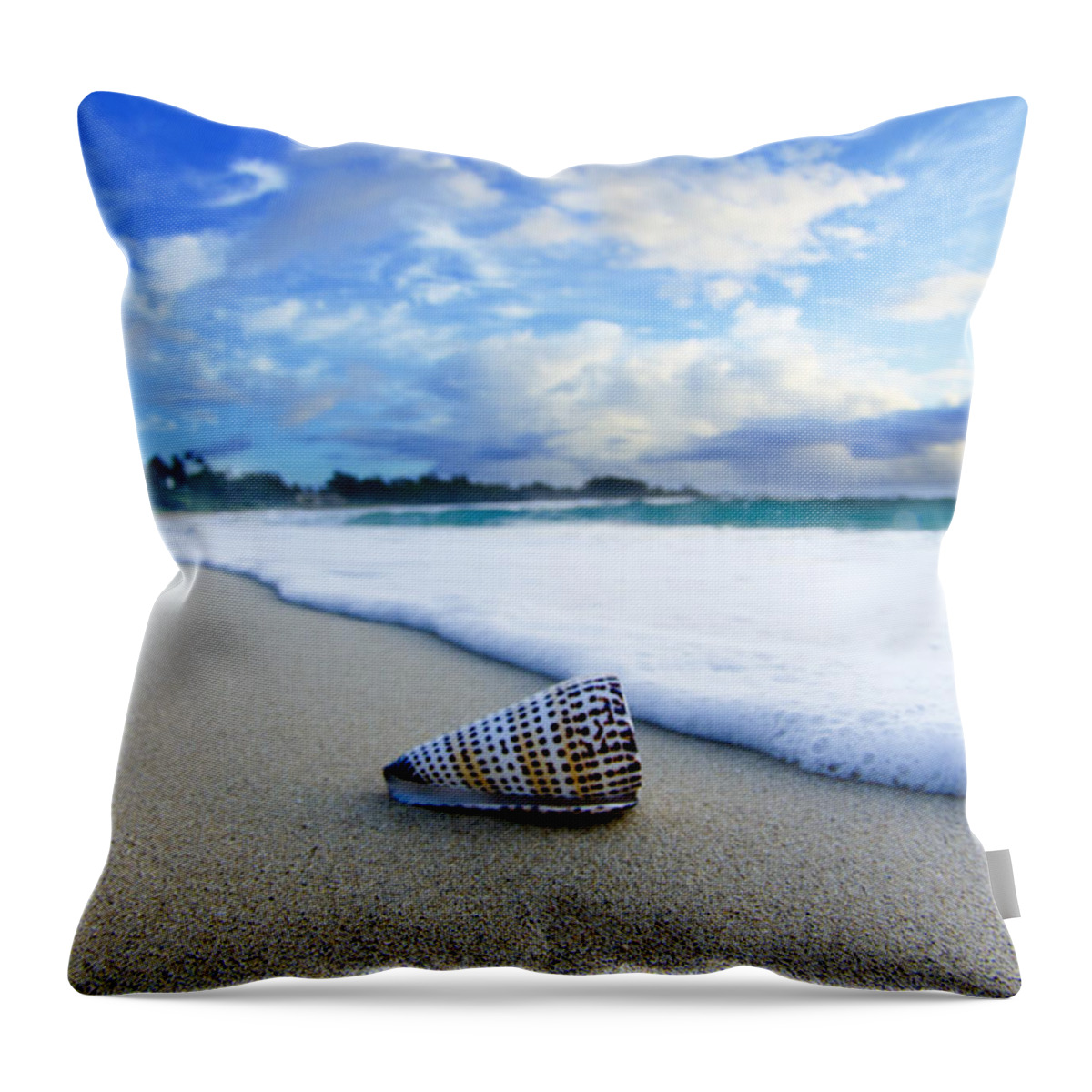  Seashell Throw Pillow featuring the photograph Cone Foam by Sean Davey