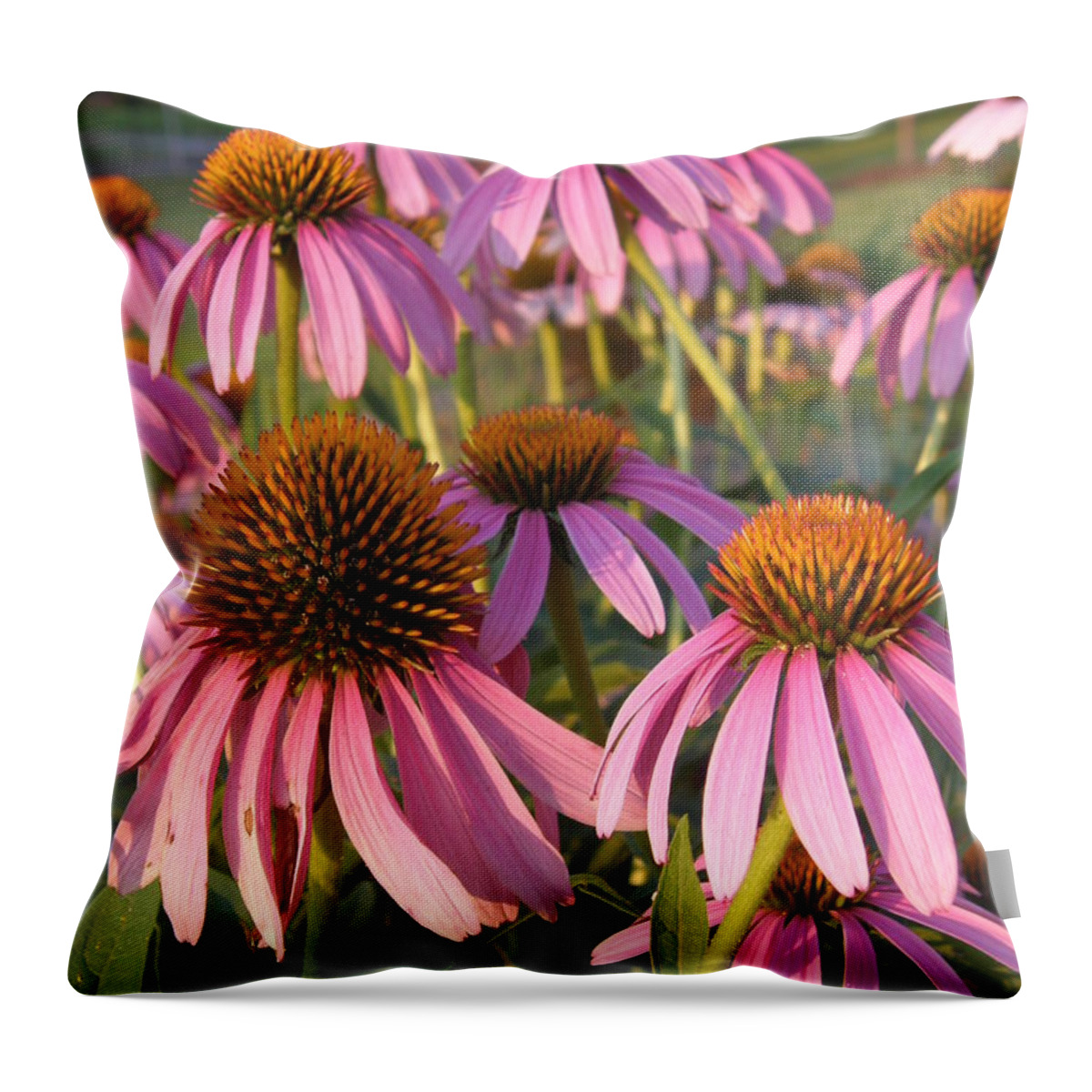 Bee Throw Pillow featuring the photograph Coneflowers by Caryl J Bohn