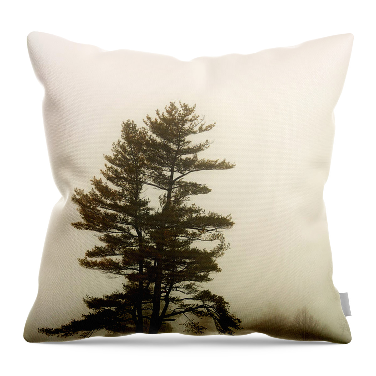 Tree Throw Pillow featuring the photograph Coniferous Tree in Winter by Steve Somerville